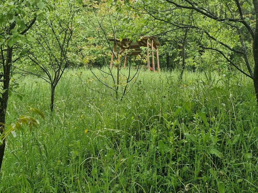 Refugiu de vis în inima munților: Cabana ta de poveste te așteaptă!