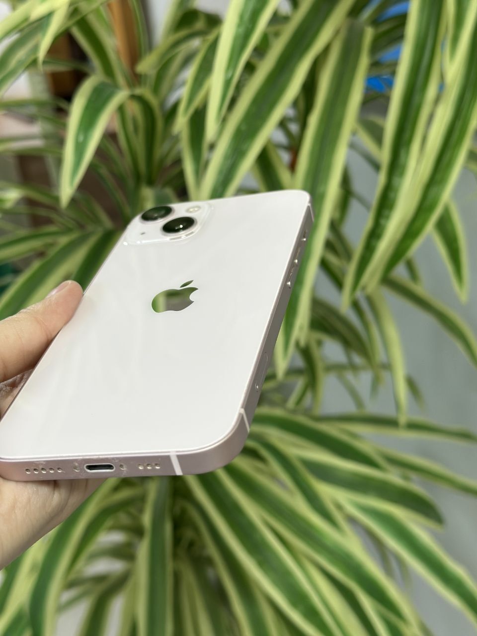 Iphone 13 /128gb