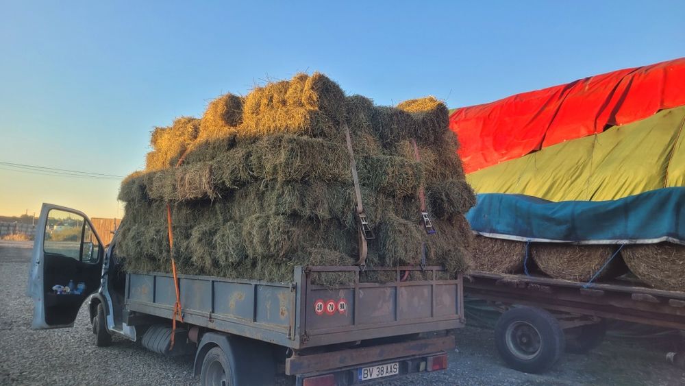 Transport  basculabil 3.5 tone