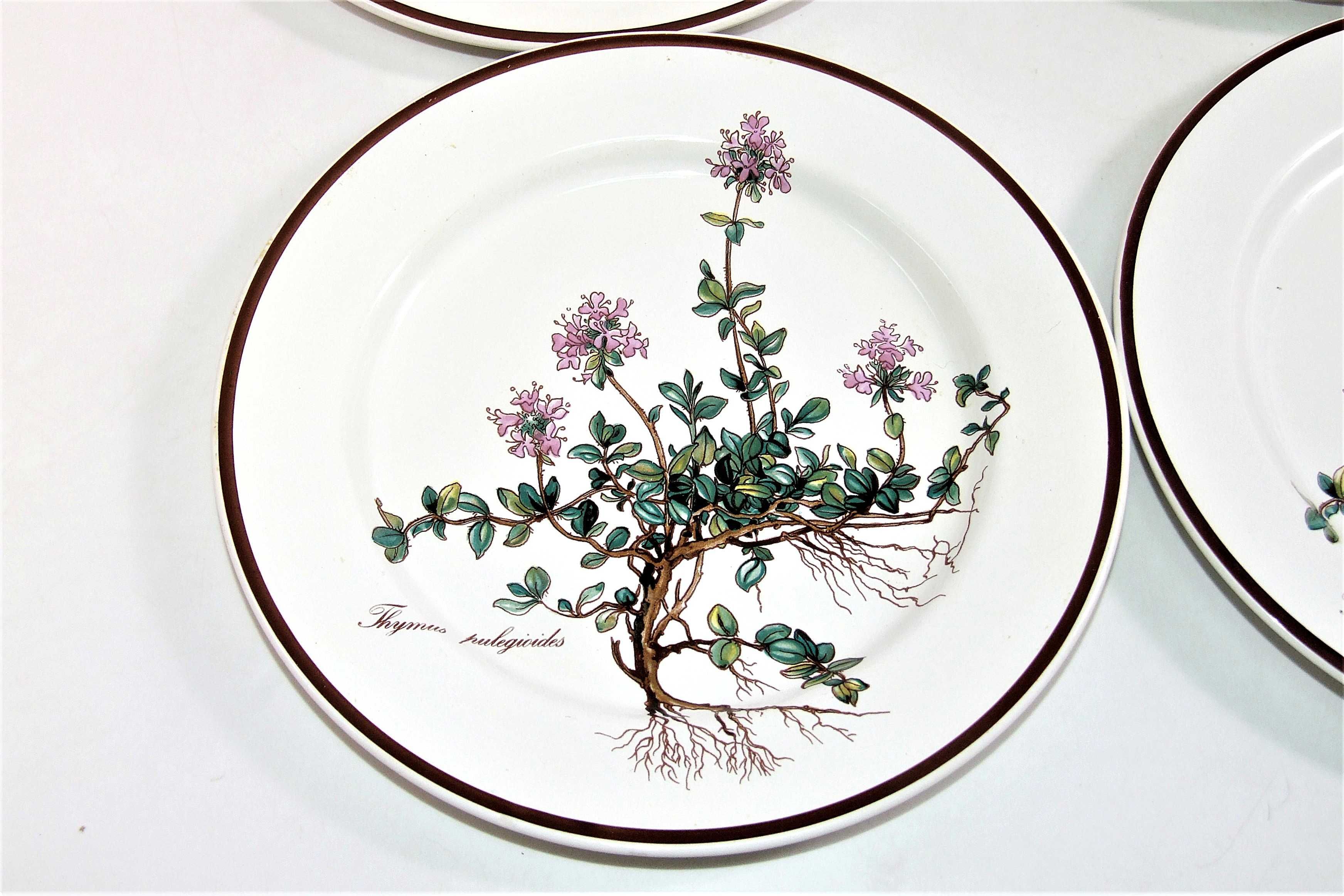 Set 10 Farfurii Botanica Villeroy & Boch pictate flori de cimbru, NOU