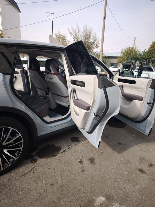 Leapmotor c11 hybrid