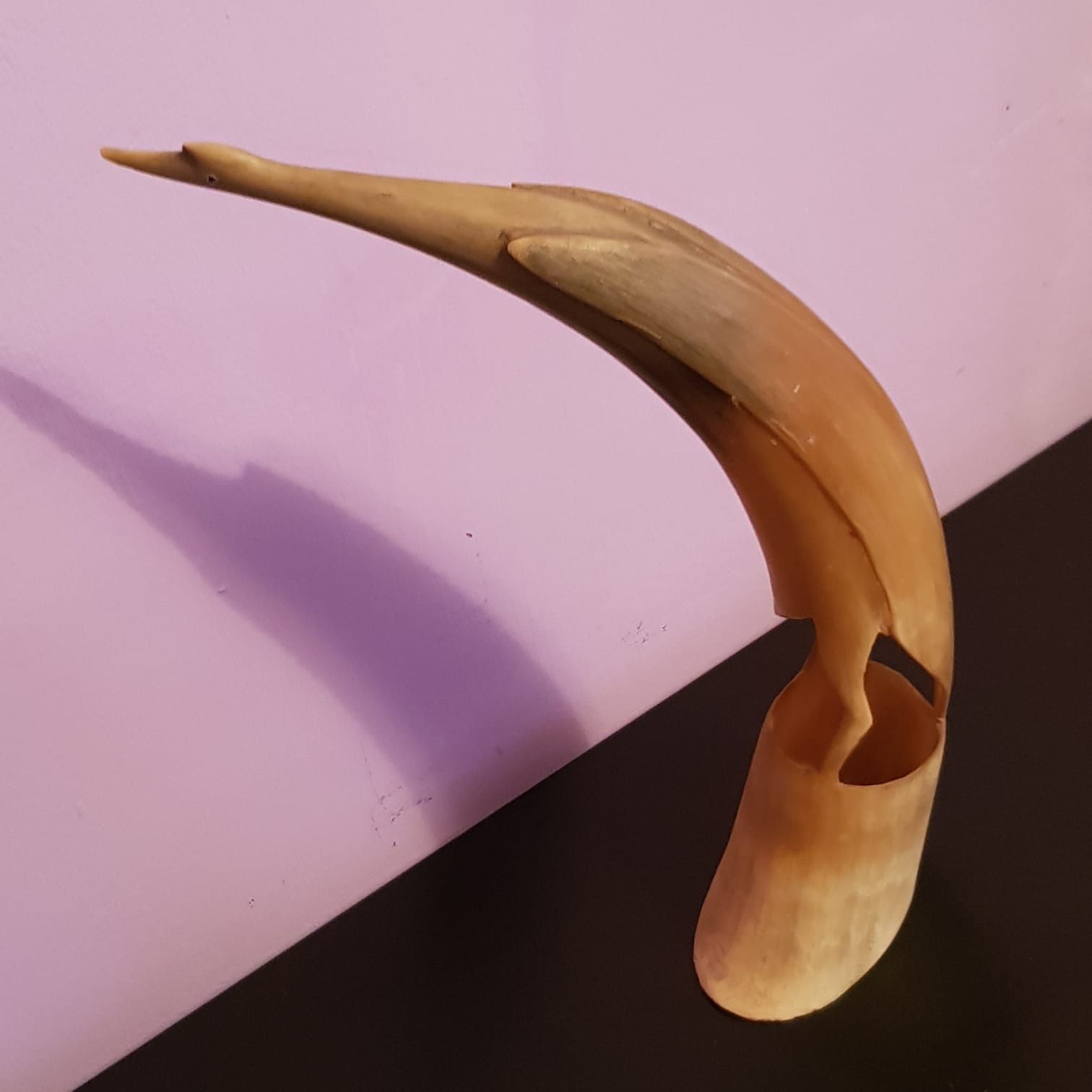 sculptura pasare din corn animal