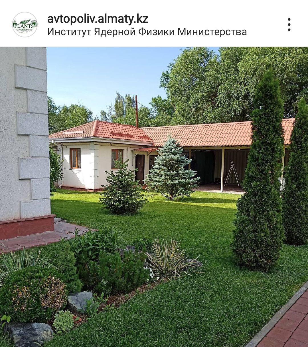 Автополив газона