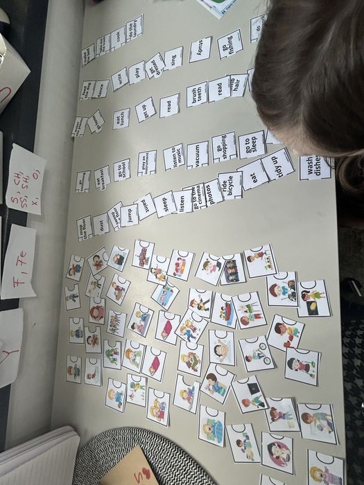 Limba engleza Lujerului