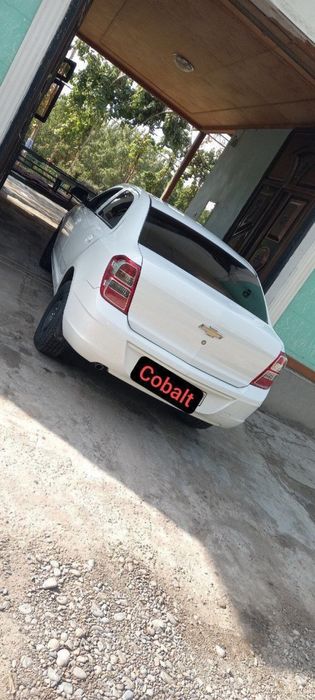 Cobalt 2020 2 pazetsiya