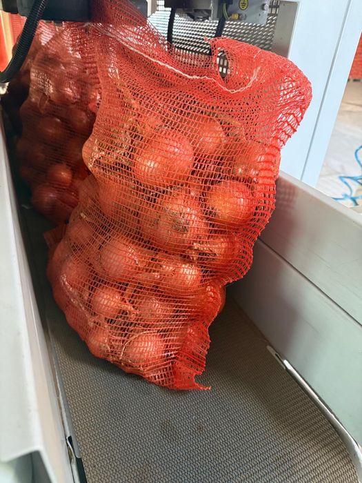 Ceapă si Morcov de vanzare