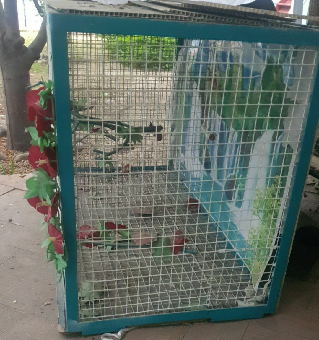 Qush uychasi 100 sm 50 sm