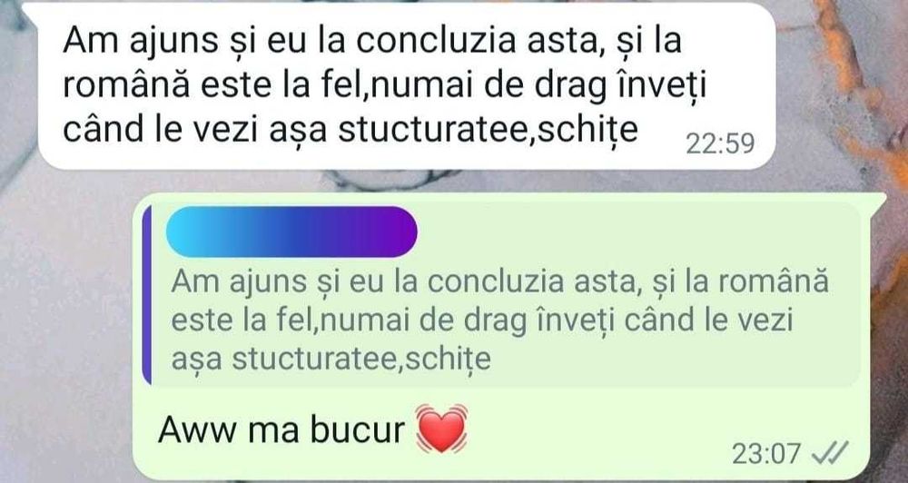 Caiet meditatii romana BAC de 10