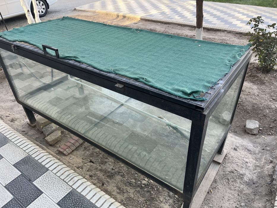 Камплект балк сотш учун ресторан кафелар учун