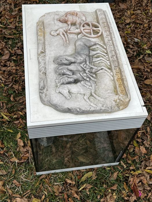 Acvariu pesti/broaste testoase