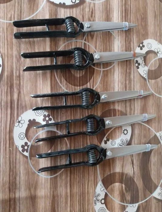 Ножици за подстригване на овце