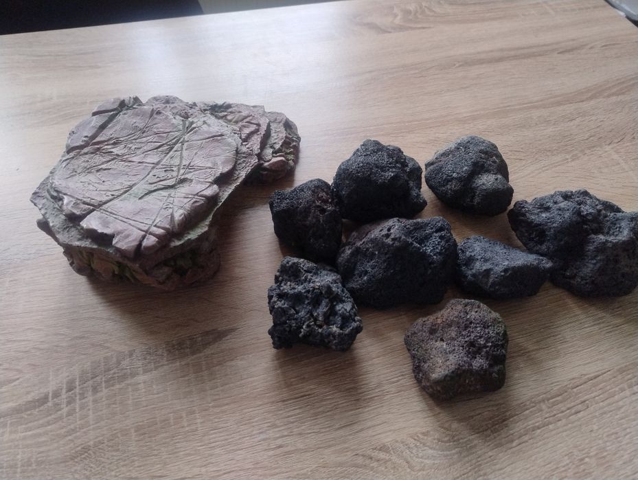 Platforma broasca testoasa