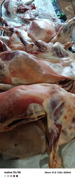 Продам говядину, баранину и живую и тушами