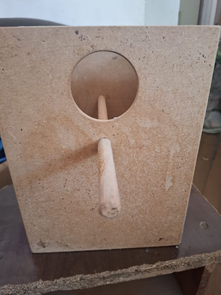 Cuibare pt papagali