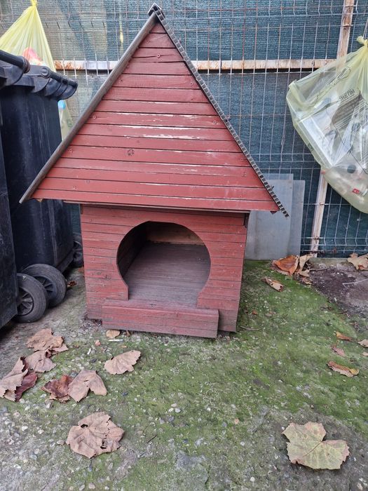 Vand cusca caine/cațel/cațelușă