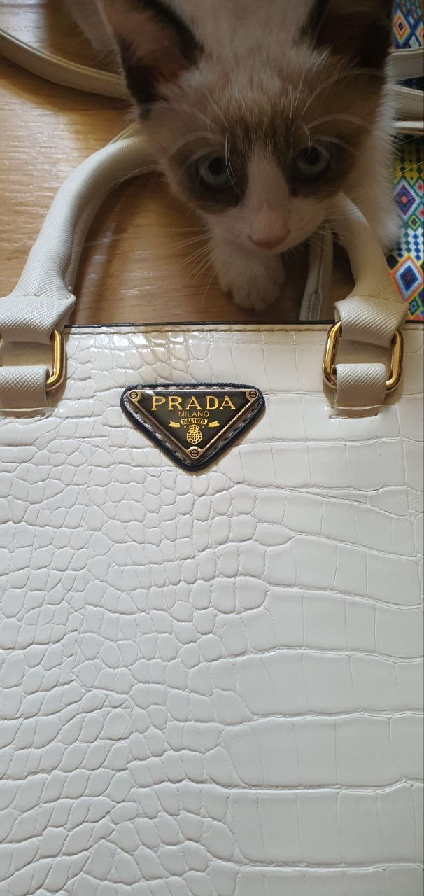 Сумка мини  Prada