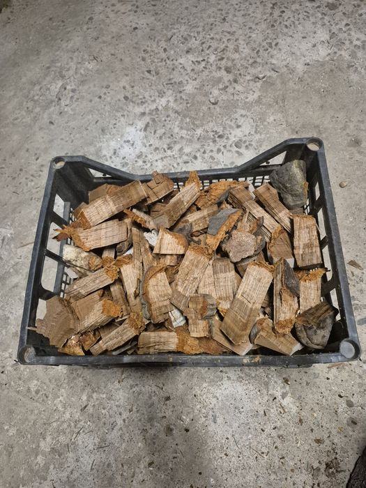 Iasca de fag pentru fum la albine