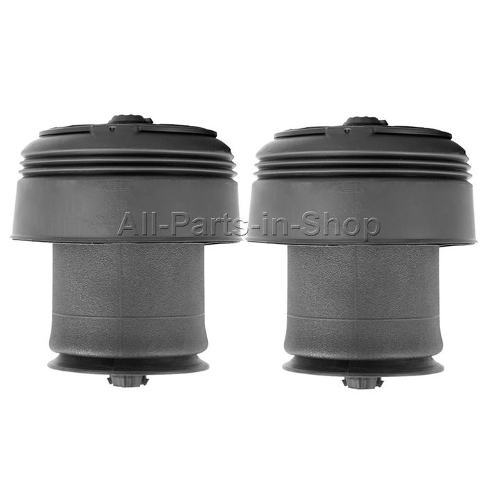 Suspensie pneumatica perna perne aer Bmw X5 X6 F15 F16 2014-2019