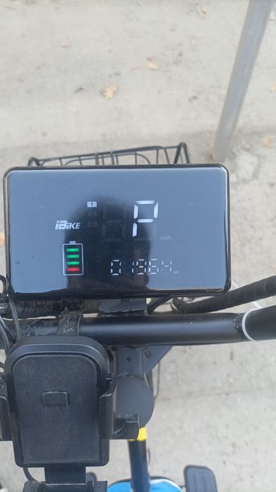 Drongo monstr 2000 km yurgan 1 oy buldi olinganiga