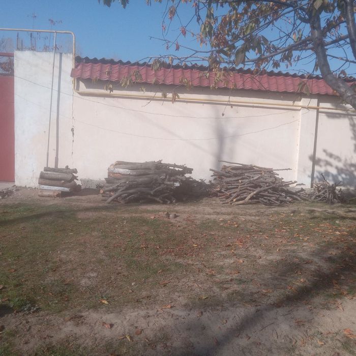 Продам дрова от фруктовых деревьев.