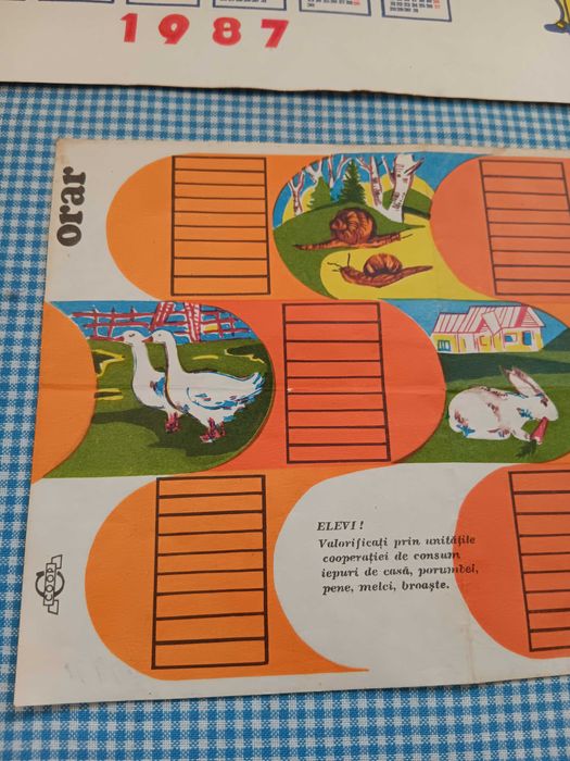 Orar scolar de pionier, vechi de colectie ,Perioada comunista RSR