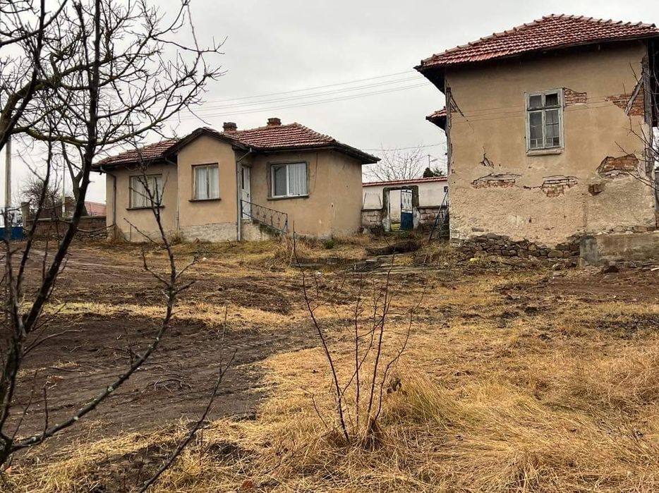 Продават се две къщи в един имот в село Пчелин