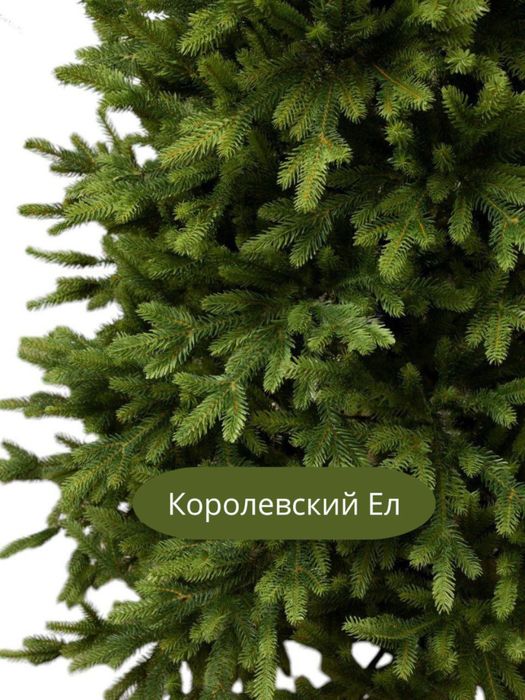 Yangi yil premium archasi