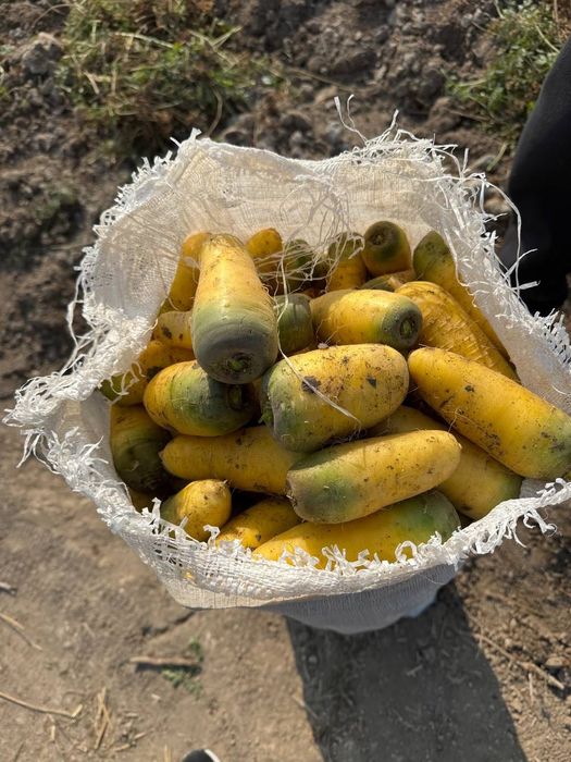 Озик овкат махсулотлари