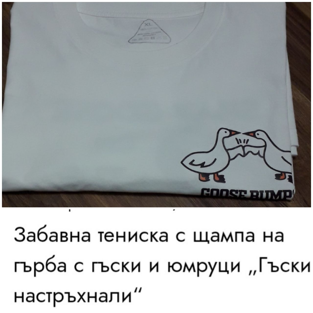 XXL Мъжка тениска Goose Bumps