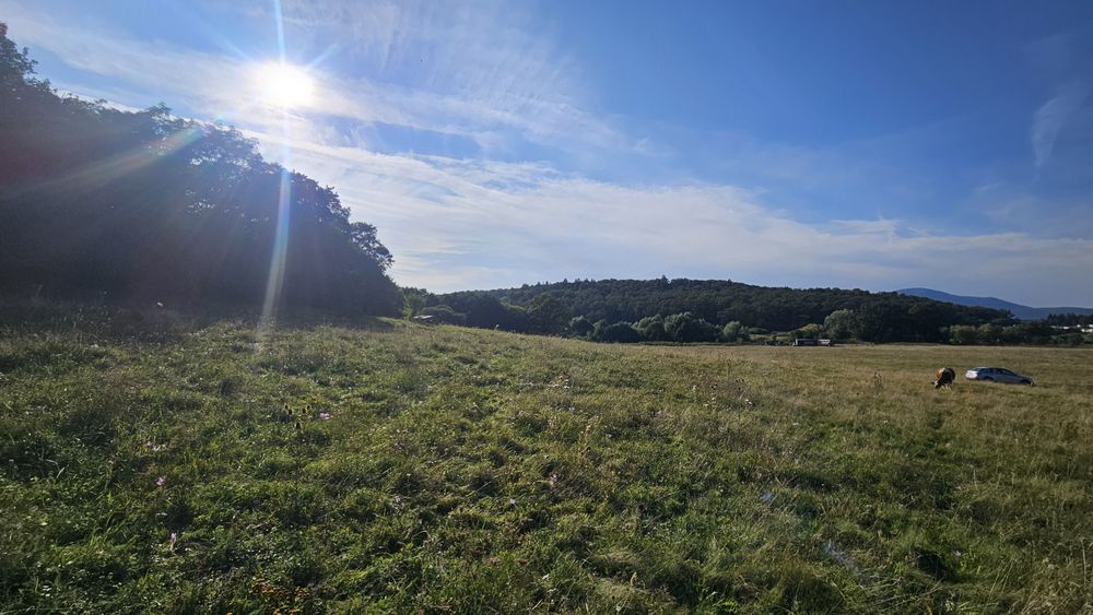 Teren intravilan zona mănăstirii Efrem cel Nou