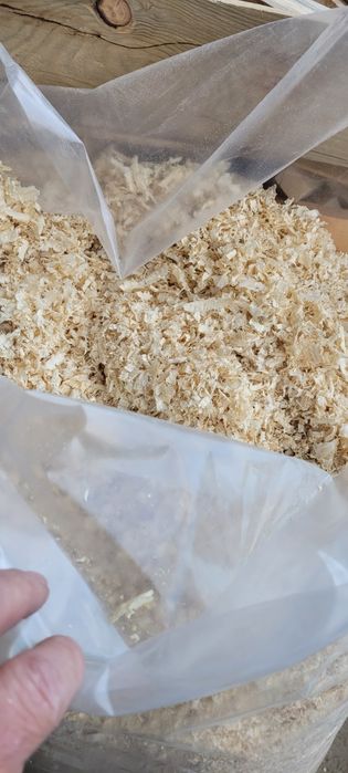 Rumegus amestecat cu talas brad