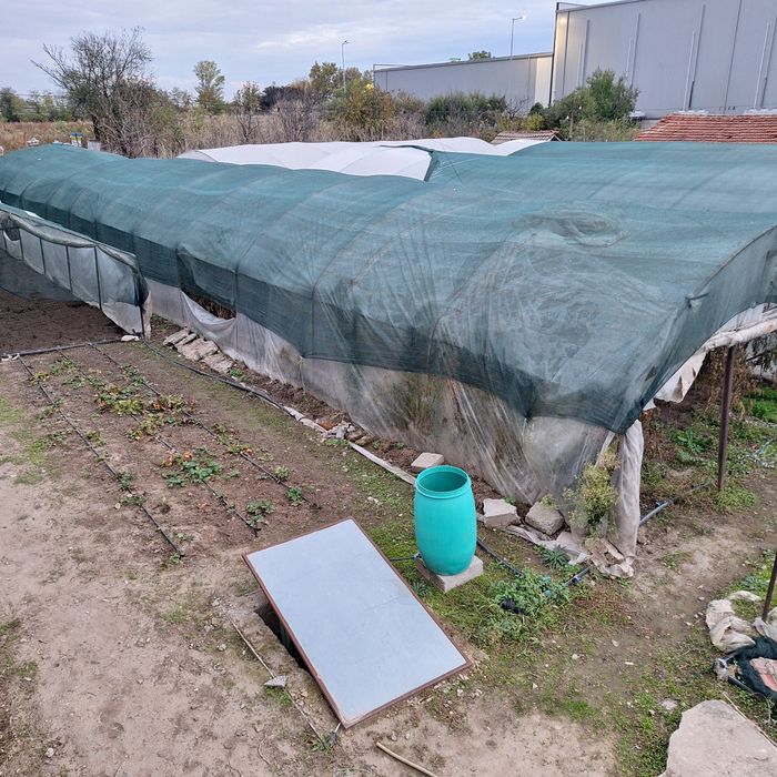 Орънжеря метални