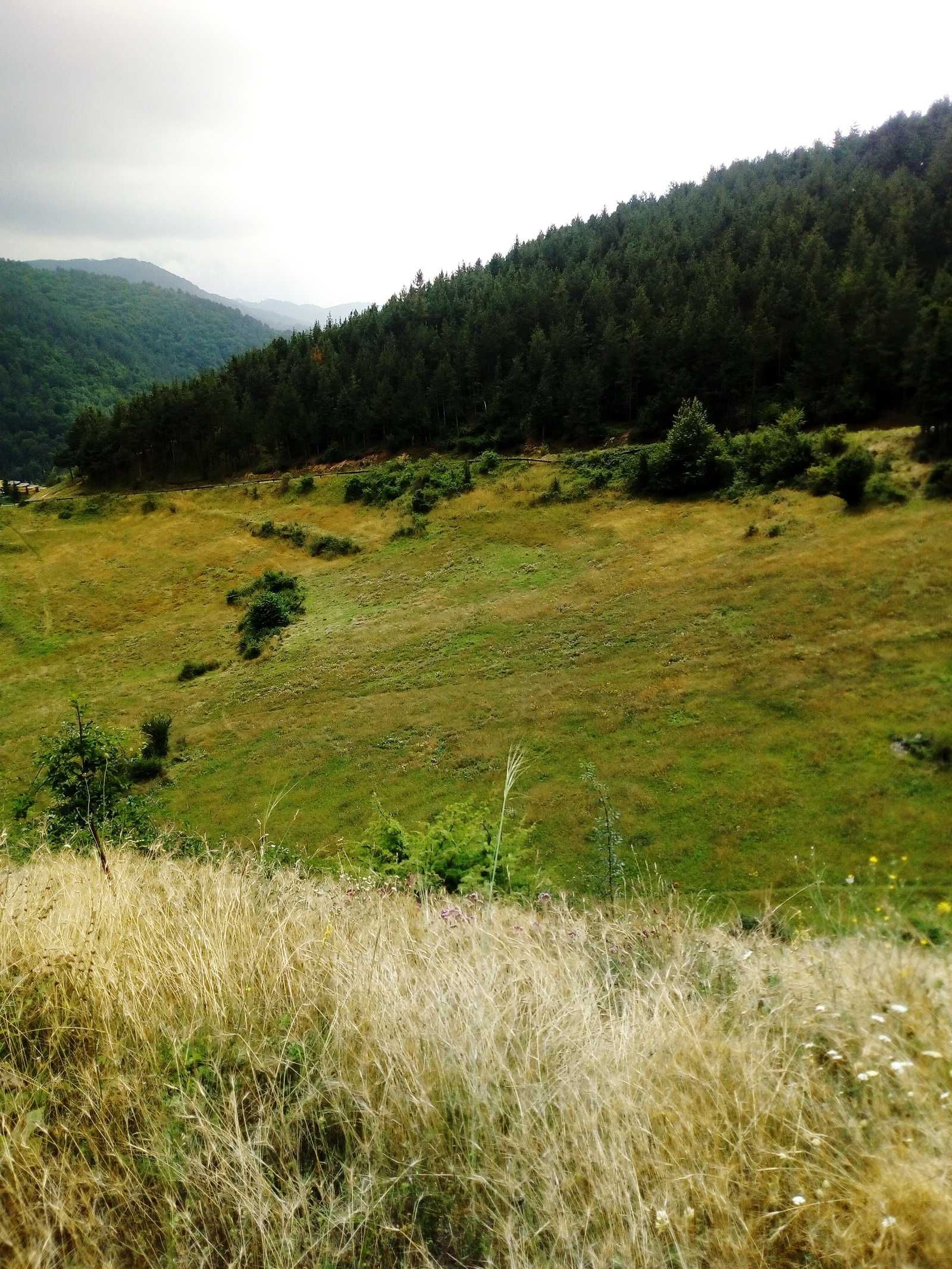 Парцел до гора с красив изглед, Велинград