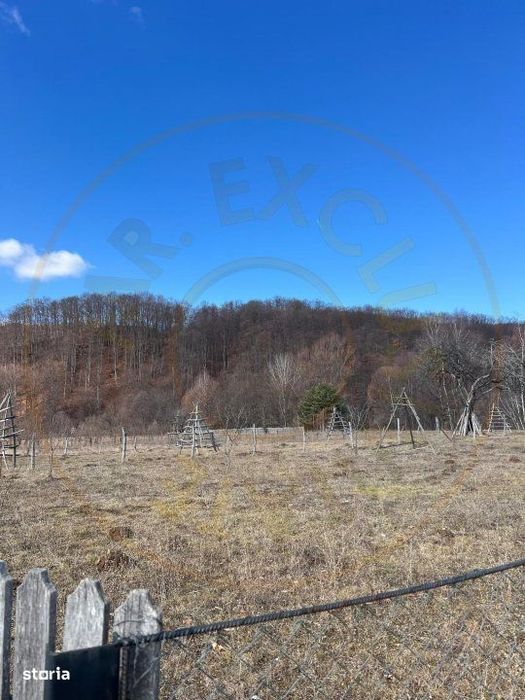 Teren Cicanesti Arges, la 10 KM de Transfagarasan - Comision 0%