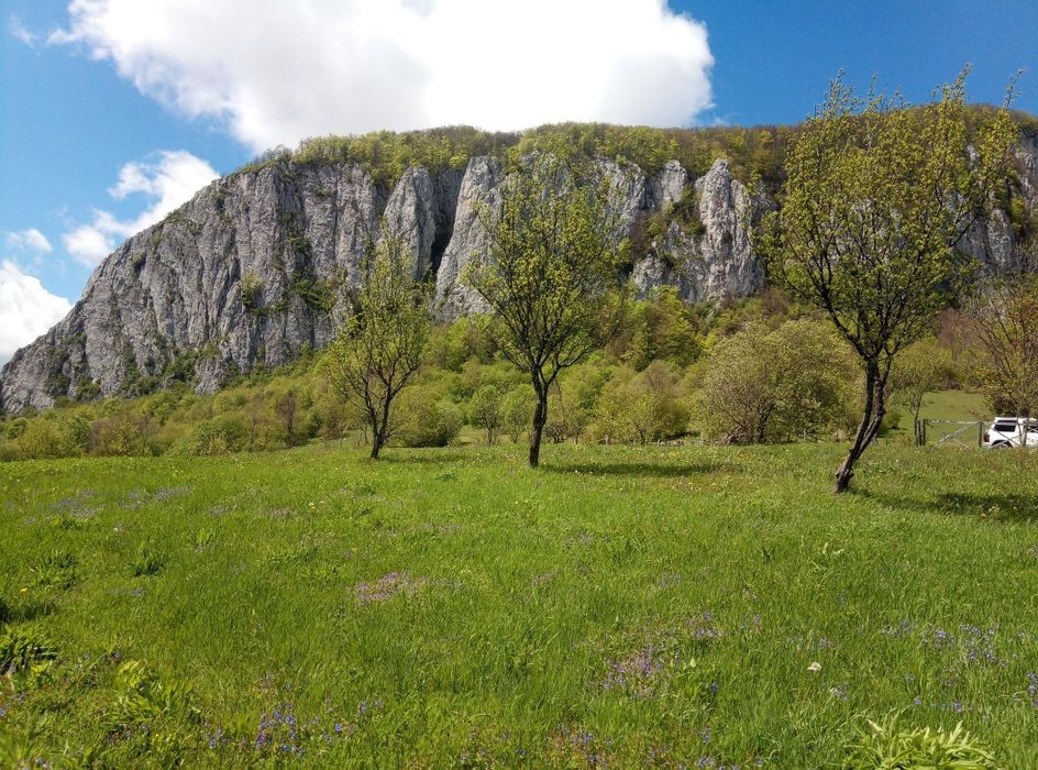 Vând teren in Munții Apuseni!