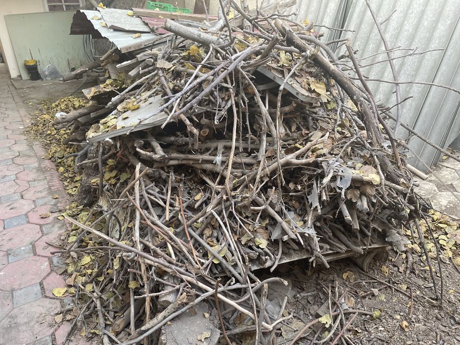 Otin sotilafi / Продаются дрова