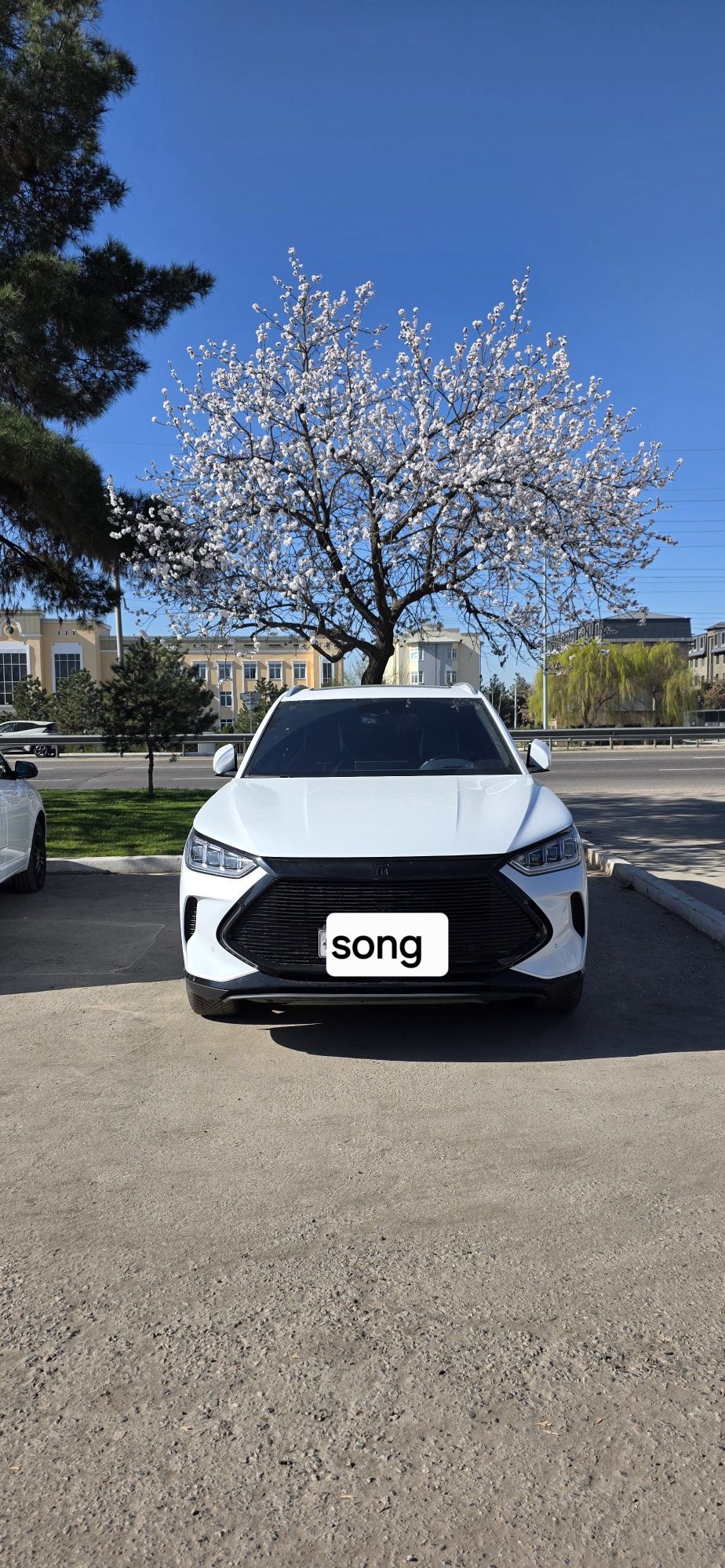 Облицовка на BYD Song Plus Dmi