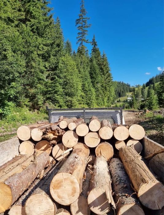 Cherestea si lemne de foc