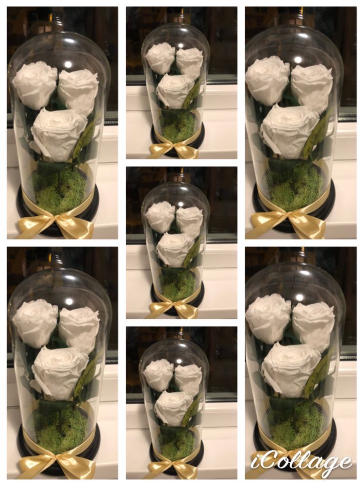 Cadou 8 Martie cupola cristalina cu trandafiri criogenati