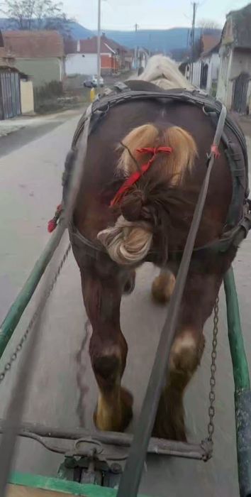 Vand sau schimb harmasar stanțat