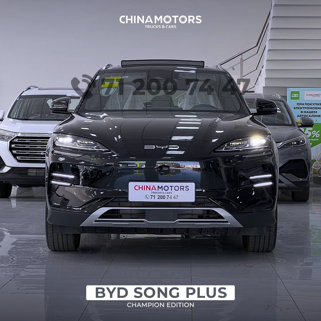 Byd chempion 605 km 2024