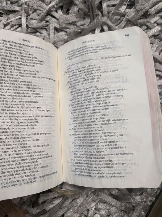 Biblie 1979 și carte psalmi 1938 limba olandeza