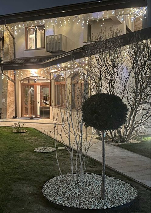 Montaj decoratiuni de craciun