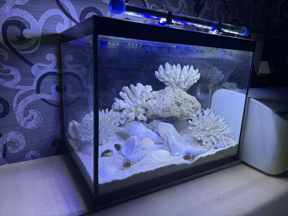 Аквариум комплект