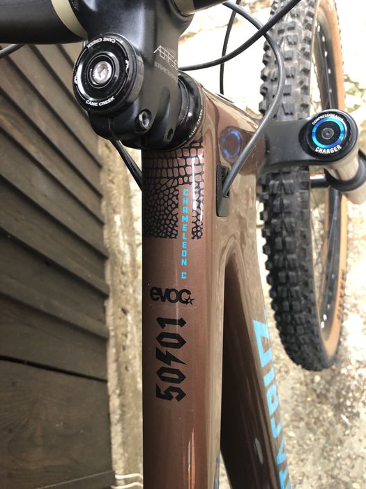 Santa Cruz Chameleon C - Large