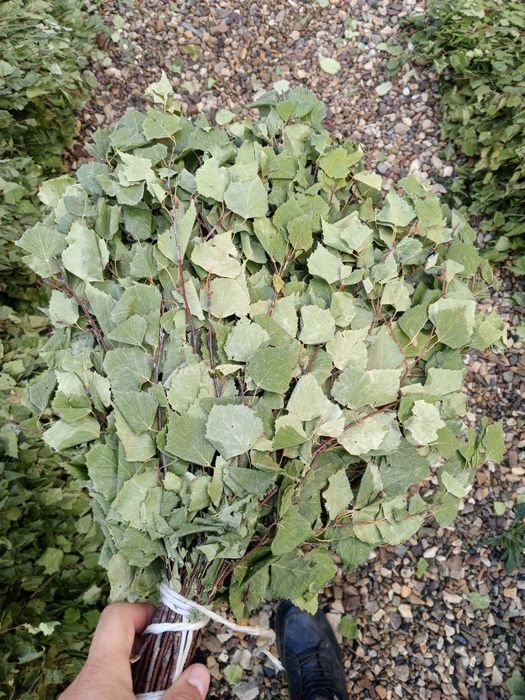 20шт по 750тг за всё