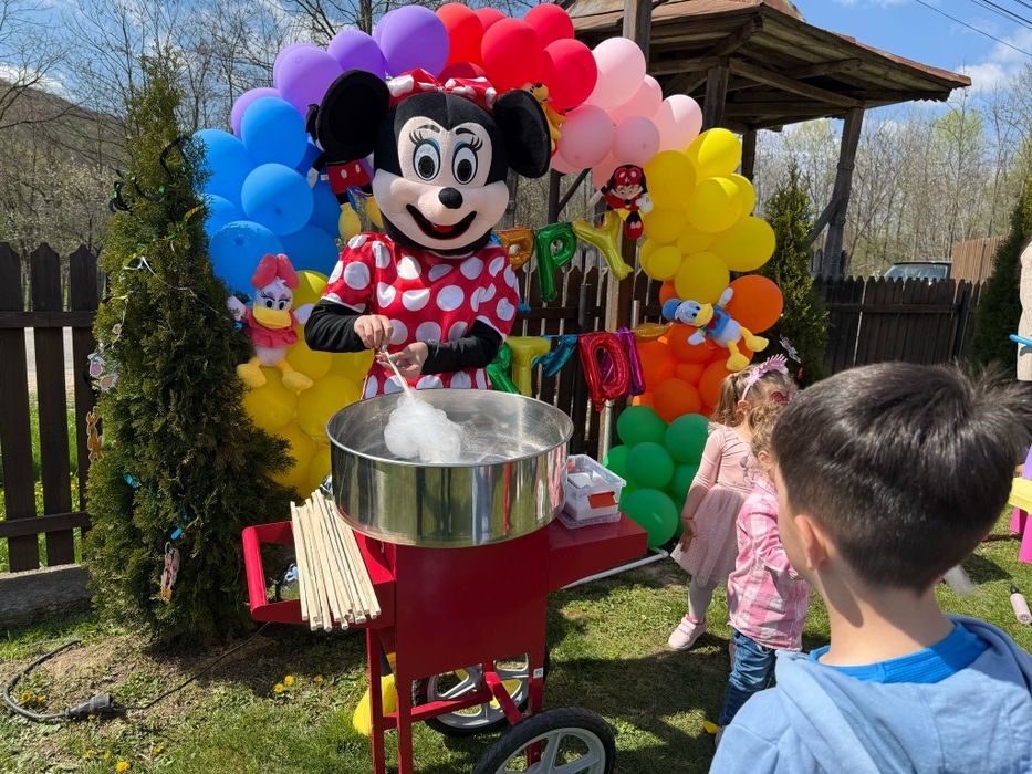 Animatori Petreceri Copii