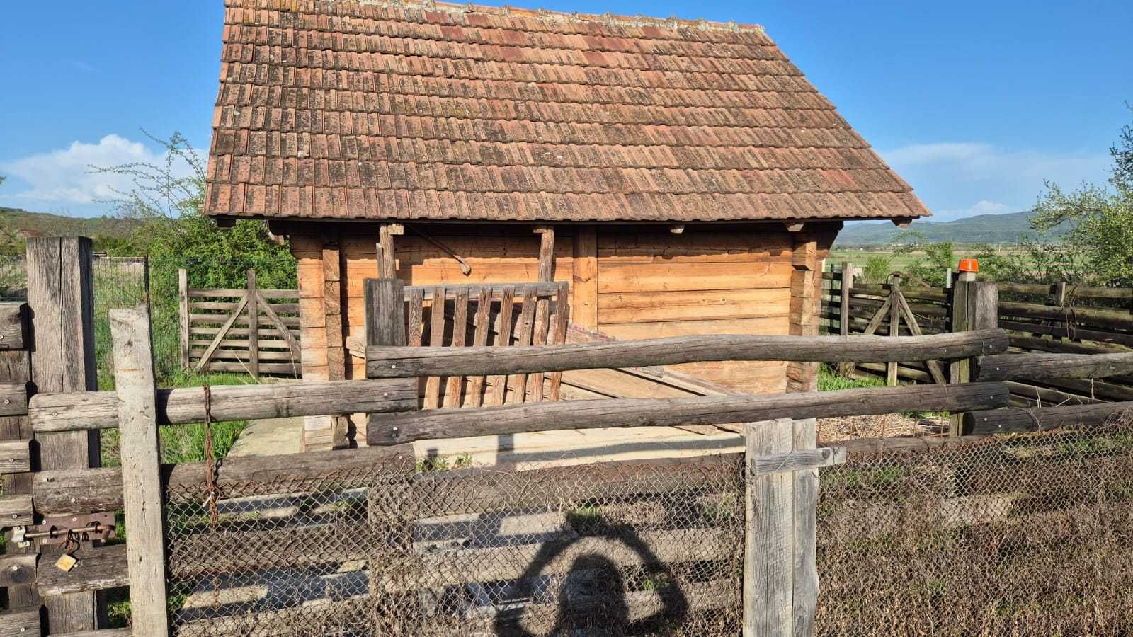 Casa regim P+E compusa din 4 camere si dependinte si teren de 7000 mp