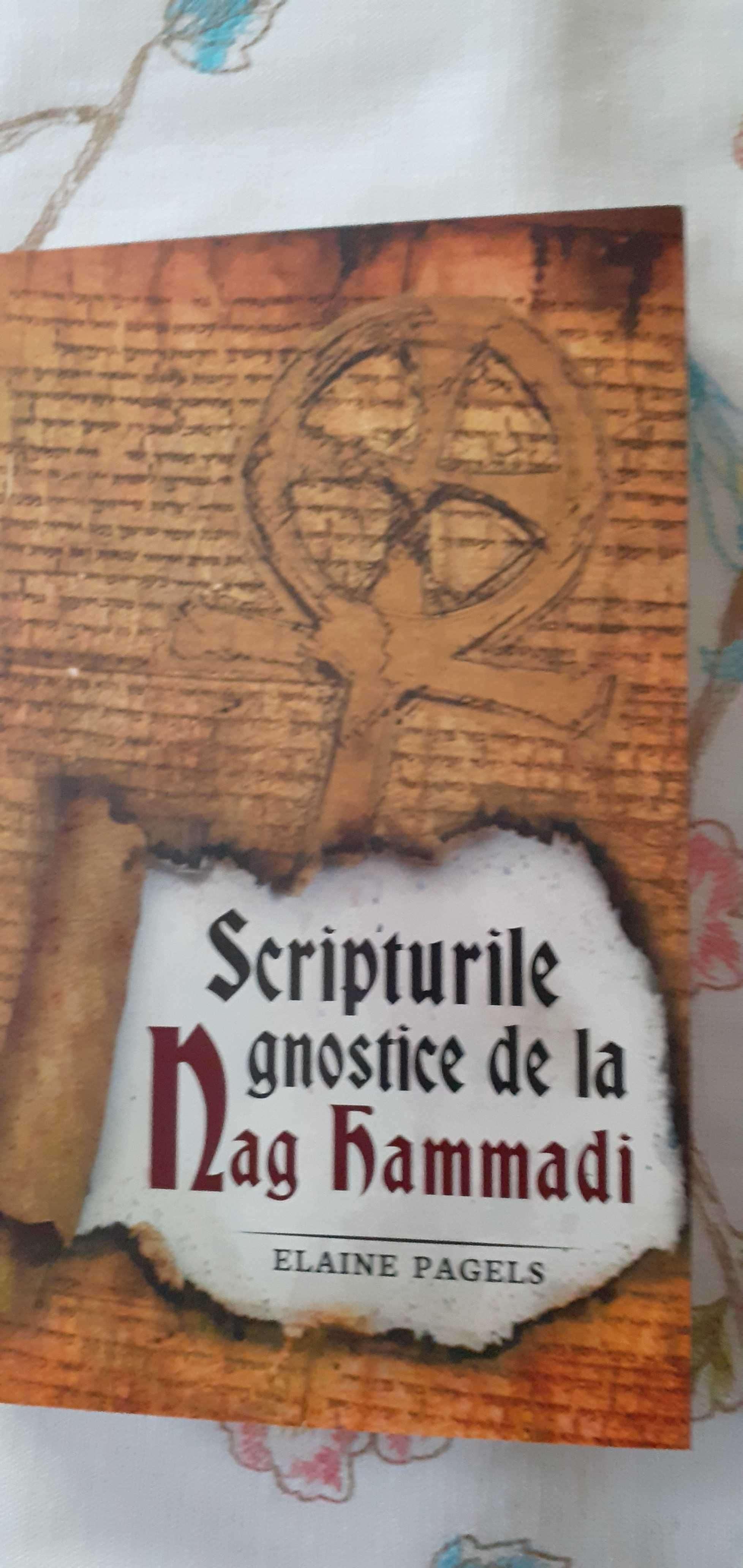 Carte, Elaine Pagels, Scripturile gnostice de la Nag Hammadi