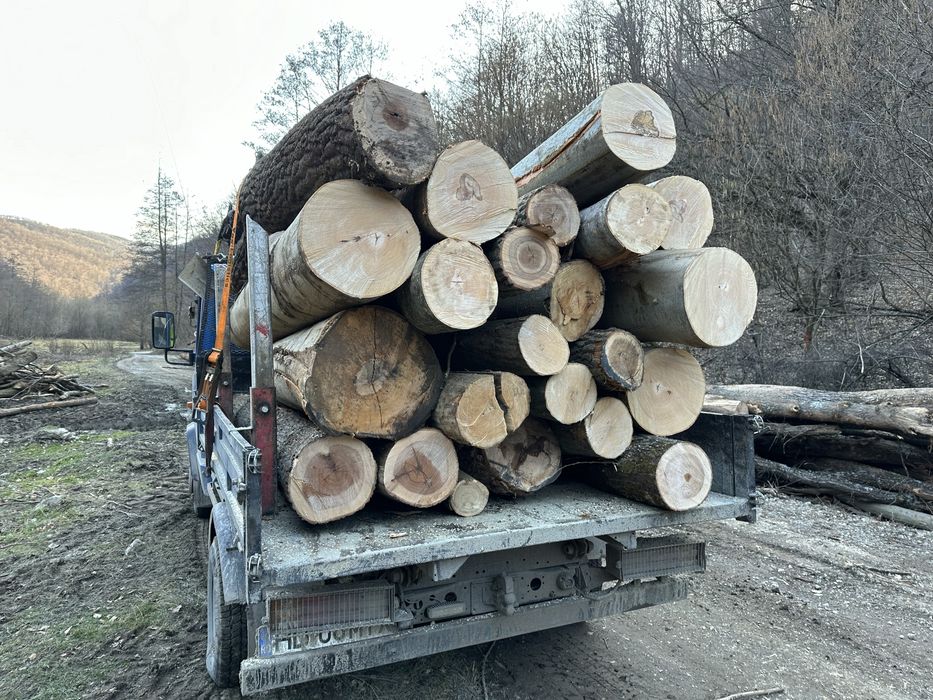 Lemn de foc FAG 3,5 CUB